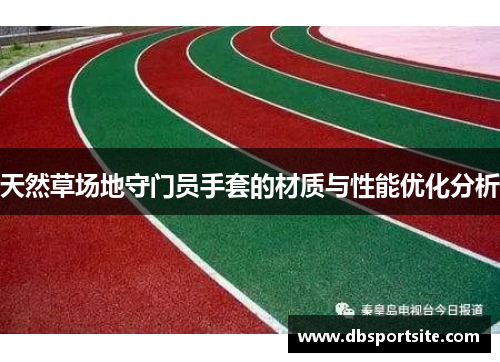天然草场地守门员手套的材质与性能优化分析